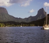 Cook's Bay
